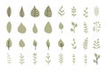 big set of green leaf icons, collection of plants set on a white background, vector illustration