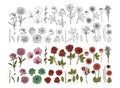 Big set of hand drawn doodle style flowers. dhalia, sweet pea, rose, peony Royalty Free Stock Photo