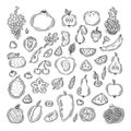 Big set of hand drawn fruit and berries icons. Summer fruit collection. Sketch, doodle style