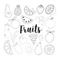 Big set of hand drawn fruits doodles Fruit vector illustration isolated on white background. Elements for design Royalty Free Stock Photo