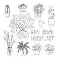 Big set of hand drawn houseplants monstera