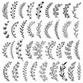 Big set of hand drawn vector plants and branches with leaves, flowers, berries. Floral sketch collection. Royalty Free Stock Photo