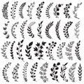 Big set of hand drawn vector plants and branches with leaves, flowers, berries. Floral sketch collection. Royalty Free Stock Photo