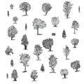 Big set of handdrawn isolated ink trees. Includes different trees: spruce, chestnut, bush, oak, poplar, birch, maple.