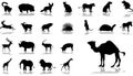 Big set icons - 11. Animals Royalty Free Stock Photo