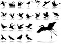 Big set icons - 2. Birds