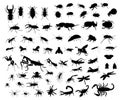 Big set of insect silhouettes. Royalty Free Stock Photo