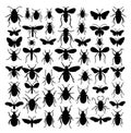 Big Set of Insects Silhouettes in Different Poses. Almost Each Kind of Insects Represented in set. High Detail. Vector