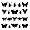 Big Set of Insects Silhouettes in Different Poses. Almost Each Kind of Insects Represented in set. High Detail. Vector