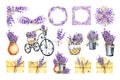 Big set of lavender flowers, composition of flowers, bicycle, bouquet, basket. Hand drawn watercolor illustration