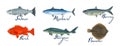 Big set with marine fishes and lettering salmon, mackerel, perch, herring, sturgeon, flounder.