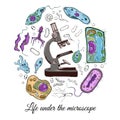 Big set with microscope and different microorganisms