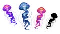 Big set of multi-colored jellyfish illustration isolate realism. Royalty Free Stock Photo