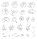 Big set of peony flowers and leaves for making tattoo compositions. Black linear illustration isolated on a white Royalty Free Stock Photo