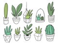 Big Set plants in white pots. Vector illustration in cartoon style Royalty Free Stock Photo