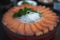 Big set raw salmon slice or salmon sashimi in Japanese style fresh serve on ice Royalty Free Stock Photo