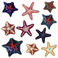Big set of sea starfishes, summer mood design