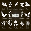 Big set of simple flat culinary herbs. White Silhouettes