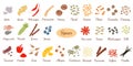 Big set of simple flat culinary spices. Silhouettes