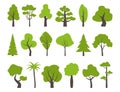 Big set of various green trees. Tree icons set in a modern flat style. Vector illustration Royalty Free Stock Photo