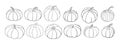 Big set of various hand drawn pumpkin squash in black ink outline isolated on white. vector illustration of contour sketch, autumn Royalty Free Stock Photo