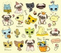 Big set of vector cute funny cats and pugs