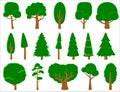 Big set of vector deciduous and coniferous trees. Game UI flat. Stylized tree for logo, games or cards