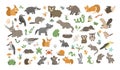 Big set of vector hand drawn flat woodland animals, their babies, birds, insects and forest clipart. Funny animalistic collection Royalty Free Stock Photo