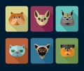 Big set of vector icons of cats.