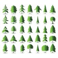 Big Set Of Vector Icons Of Various Types Of Trees