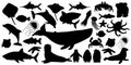 Big set of vector silhouette cartoon isolated sea ocean north animals. Whale, dolphin, shark, stingray, jellyfish, fish, stars,