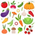 Big set of vector vegetables in cartoon style. Collection farm product Royalty Free Stock Photo