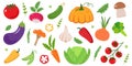 Big set of vector vegetables in cartoon style Royalty Free Stock Photo