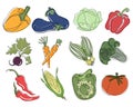 Big set of vegetables. Line art with added color. Eggplant and cabbage, broccoli and carrots, onions and peppers. Graphic design, Royalty Free Stock Photo