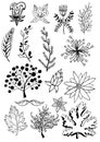 Big set of vintage elements. Vector decoration collection. Hand drawn flowers, leaves and page decor. Royalty Free Stock Photo
