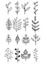 Big set of vintage elements. Vector decoration collection. Hand drawn flowers, leaves and page decor. Royalty Free Stock Photo