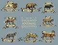 Big set of vintage emblems, logos or badges with wild animals tiger, lion king, bobcat lynx leopard and boar, bear and