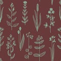 Big set of vintage original line art meadow plants. Royalty Free Stock Photo