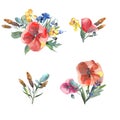 Big set of watercolor elements - leaves, herbs, flowers. Botanical collection include poppies, cornflowers, buttercups, spikelets.