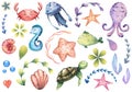 Big set of watercolor marine illustrations with sea animals