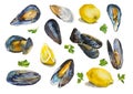 Big set of watercolor mussels in different view. Original kitchen illustration with clams, lemons, full and sliced, and