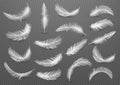 Big set of White Realistic Different Fluffy Twirled Falling Feathers Isolated on Transparency Grid Background.