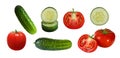 Big set of whole vegetables and pieces of cucumber and tomato isolated on white background. Images for packaging design of Royalty Free Stock Photo