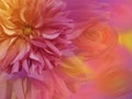 Big shaggy flower Dahlia. a bright rainbow background. flower and wind. Royalty Free Stock Photo
