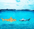 Big shark made of goldfishes. Concept of unity is strenght,teamwork and partnership Royalty Free Stock Photo