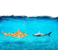 Big shark made of goldfishes. Concept of unity is strenght,teamwork and partnership Royalty Free Stock Photo