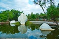 Big shells in water veli Thiruvananthapuram