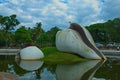 Big shells in water veli Thiruvananthapuram