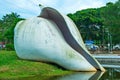 Big shells in water veli Thiruvananthapuram