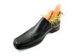Big shoe with carrots for Sinterklaas Royalty Free Stock Photo